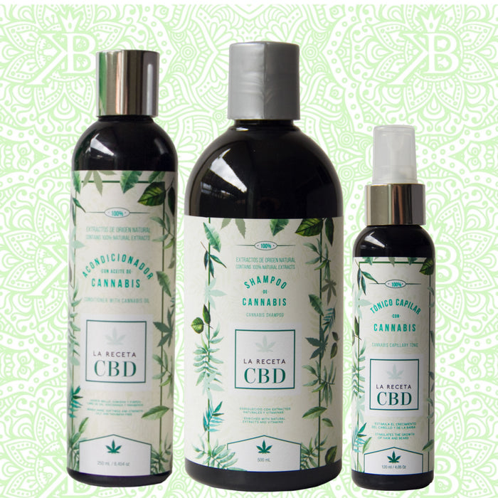 Kit Anticaida y Reparación CBD Cabello Graso